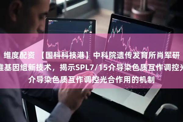 维度配资 【国科科技港】中科院遗传发育所肖军研究组：开发三维基因组新技术，揭示SPL7/15介导染色质互作调控光合作用的机制