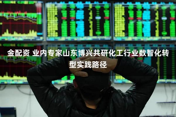 金配资 业内专家山东博兴共研化工行业数智化转型实践路径