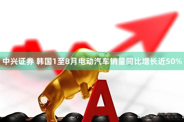 中兴证券 韩国1至8月电动汽车销量同比增长近50%