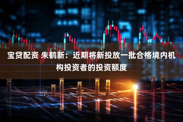 宝贷配资 朱鹤新：近期将新投放一批合格境内机构投资者的投资额度