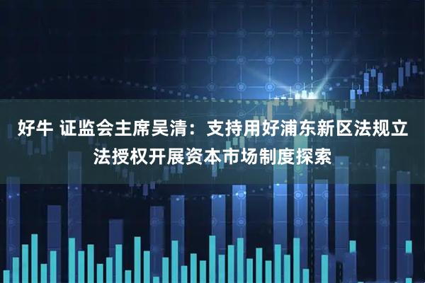 好牛 证监会主席吴清：支持用好浦东新区法规立法授权开展资本市场制度探索