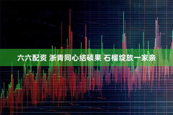 六六配资 浙青同心结硕果 石榴绽放一家亲