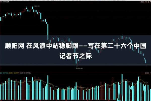 顺阳网 在风浪中站稳脚跟——写在第二十六个中国记者节之际