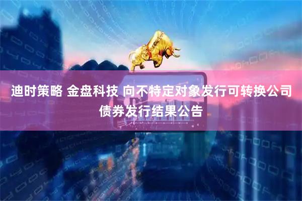 迪时策略 金盘科技 向不特定对象发行可转换公司债券发行结果公告